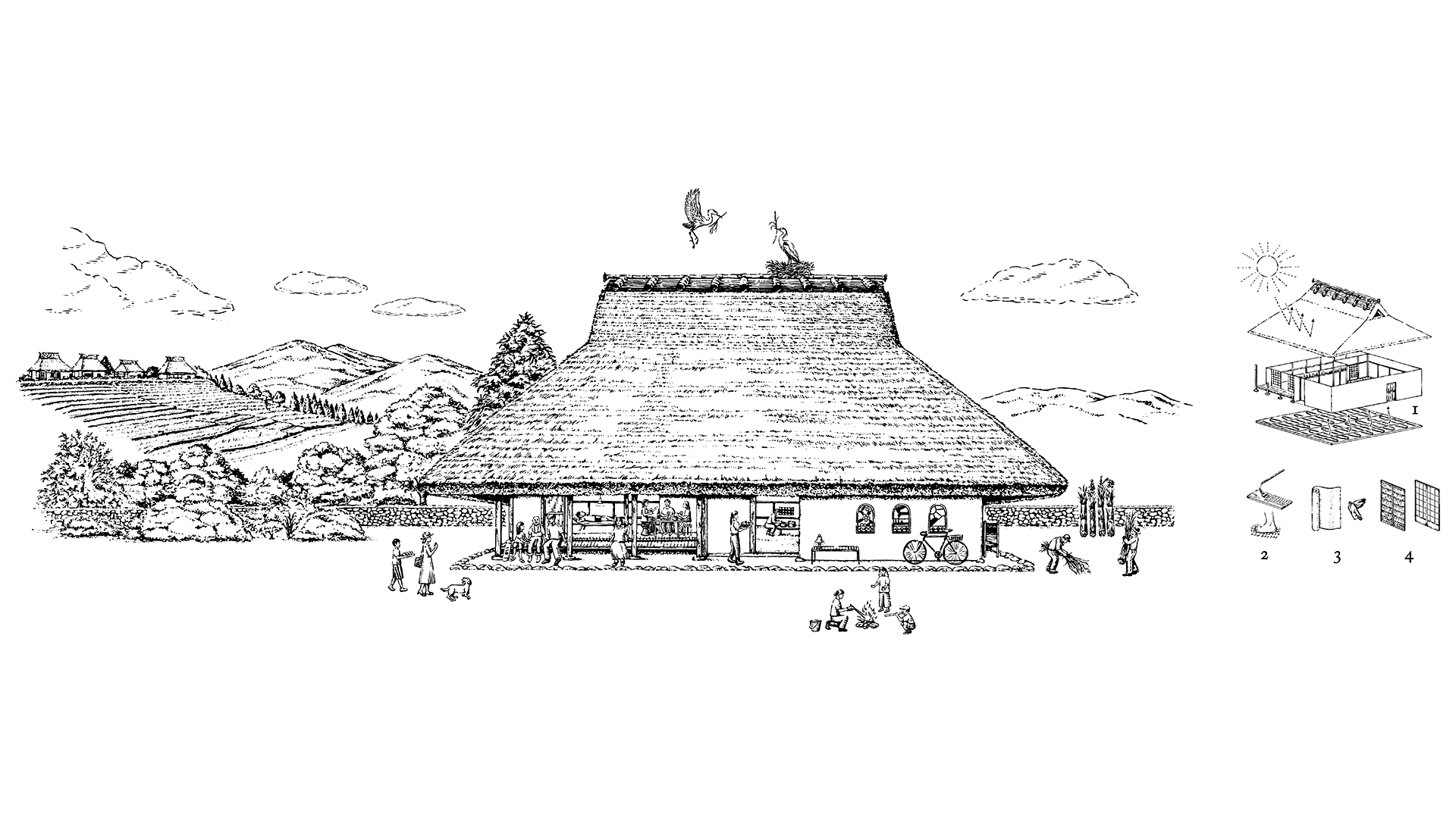 shelter